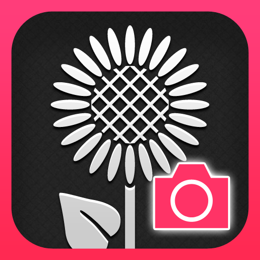 [iPhone, iPad] 見せたくなる日常が撮れる本: 続 iPhone写真の教科書！日常を非日常に変えよう。