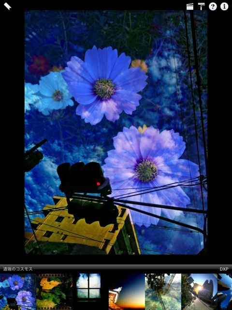 iPad写真系アプリ5選(｀_´)ゞ 最強軍団そろえました。