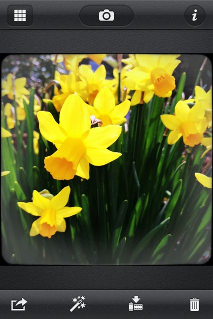CameraAwesome - 20