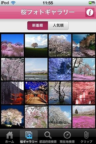 お花見 iPhone アプリ