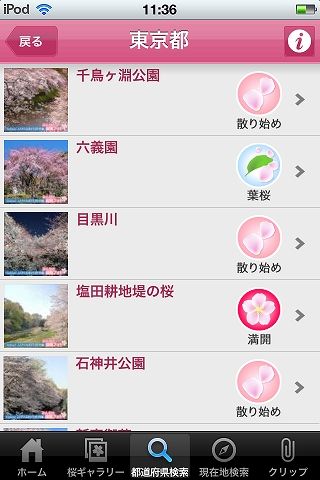 お花見 iPhone アプリ