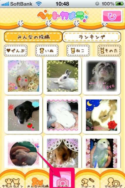 ペットカメラ (27)