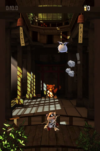 raccoonrising06