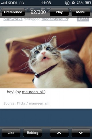 tumblr gear