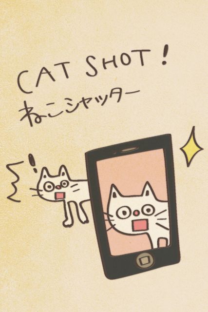 catshot (6)