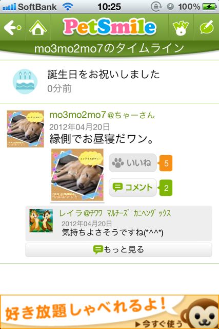 ペットスマイル (23)
