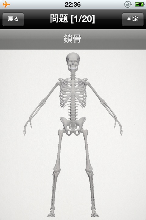 らくらく解剖学[骨] 無料版 (5)