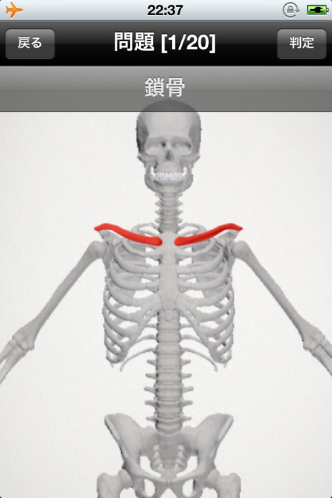 らくらく解剖学[骨] 無料版 (6)