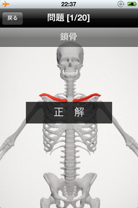 らくらく解剖学[骨] 無料版 (7)