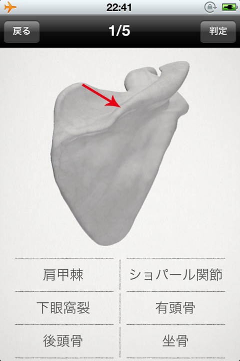 らくらく解剖学[骨] 無料版 (10)