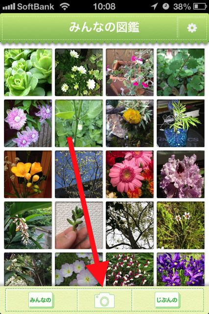 植物判定器 写真を撮るだけで植物の名前や特徴を教えてくれるアプリ 無料 Appbank