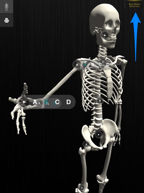 骨の表示パターン無限大 骨 名前 名称 骨を学ぶ３DソフトBONE ボーン パソコンソフト Windows Mac 3DCG 骨学 部位 人体 骨格  勉強 学習 日本語 英語 音声 解説 送料無料 キャンペーン 【SALE／75%OFF】