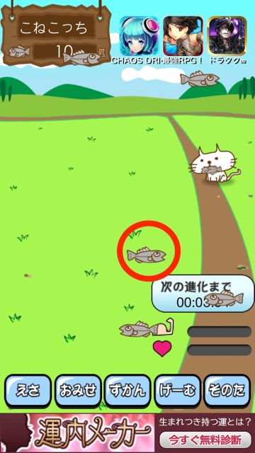 こねこっち エサをあげて愛をあげて 育った先は何になる ネコ育成進化ゲーム 無料 Appbank