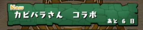 murai4211