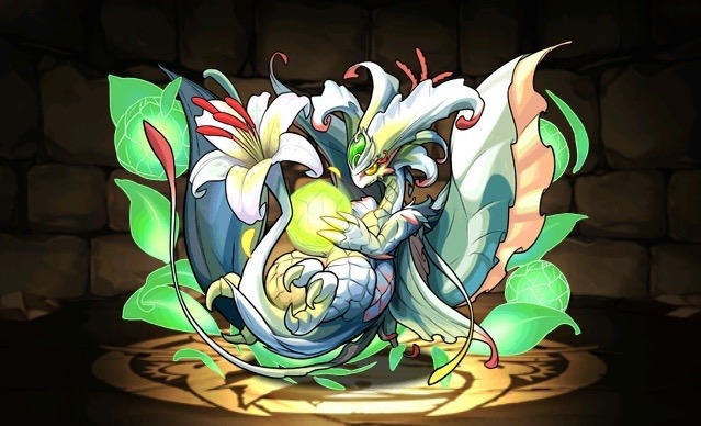 翠の華龍・カサブランカ