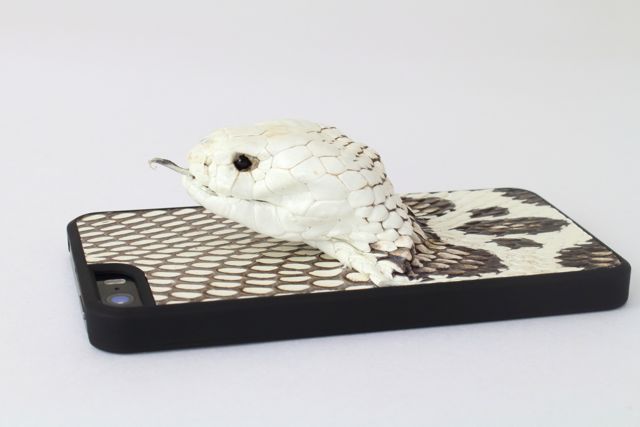 Vcoer Monster-Cobra: インパクト大。コブラを乗せた iPhone ケース！！！！