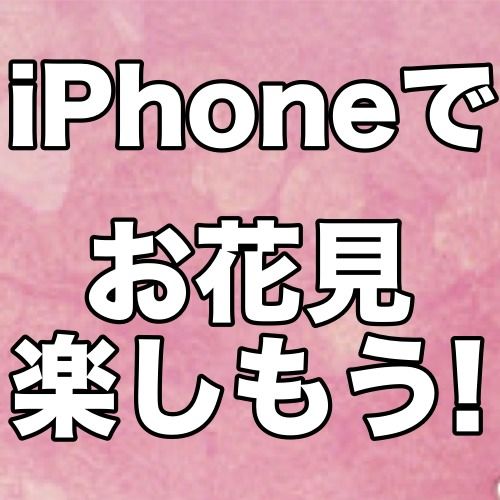 アプリや音楽で、さくらの季節を存分に味わおう。