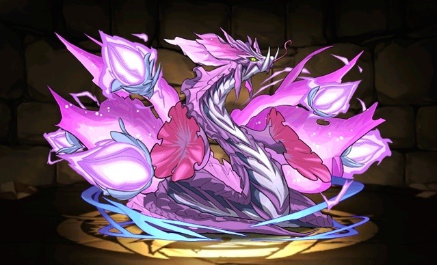 紫の華龍・オーキッド