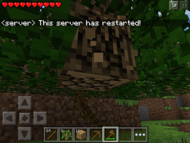 マイクラ　樫の木