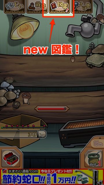 おさわり探偵 Neoなめこ栽培キット ついに新作 収穫するほど得をする新なめこ 無料 Appbank