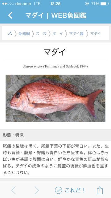 2014-528-fish-n - 06