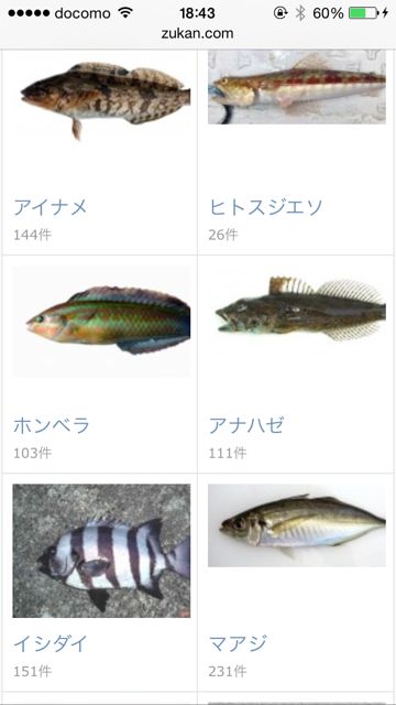 2014-528-fish-n - 09