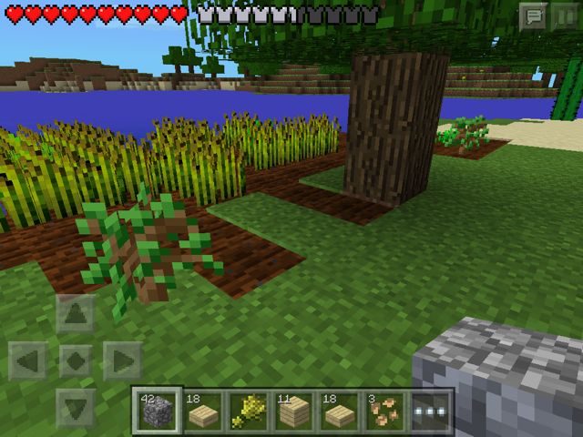 マイクラ攻略 畑やキノコ園を作って資源を増やそう Appbank