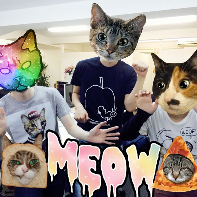 140626catcamera - 1