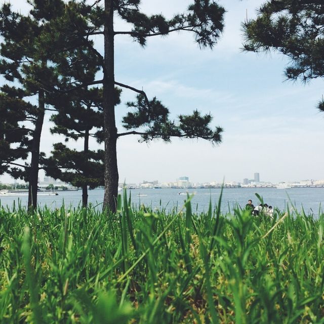 140630_vscocam - 03