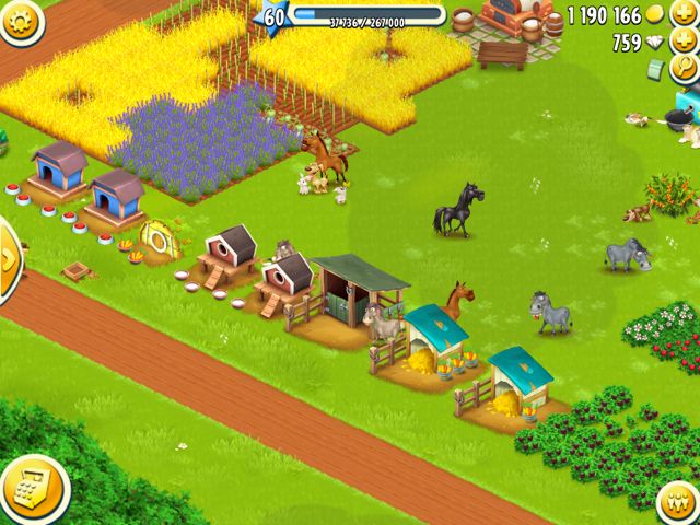 2014-625-hayday-7 - 13