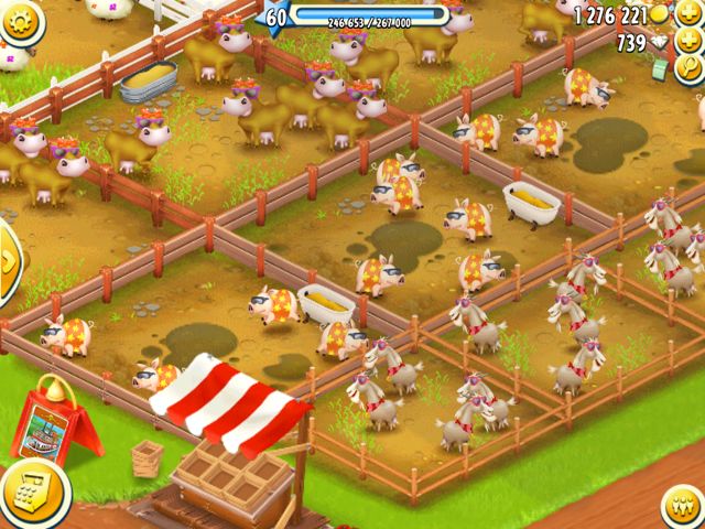 2014-702-hayday-news - 01