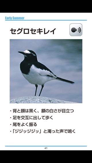 鳥ナビ
