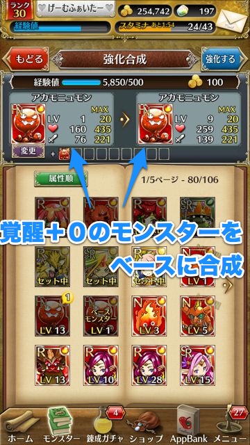 tokilabi_rr_2