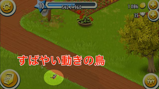 2014-1022_hayday3 - 011