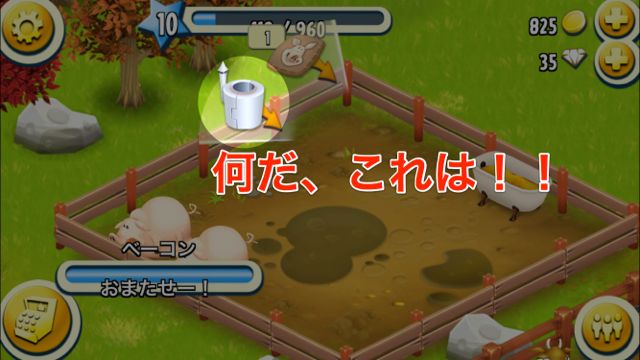 2014-1022_hayday3 - 016