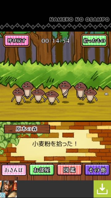 141118_nameko - 10