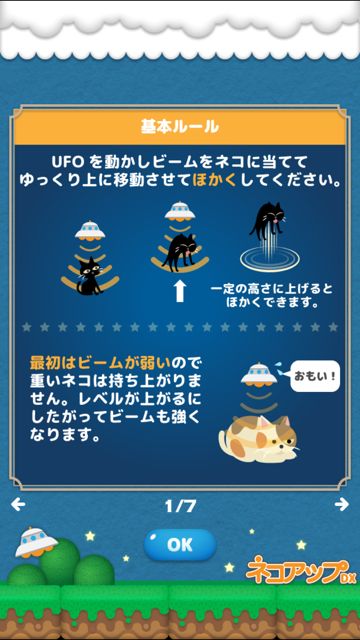 20141112-neko - 02