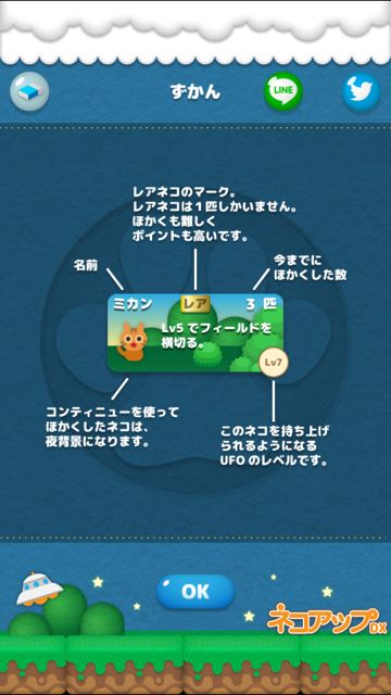 20141112-neko - 16