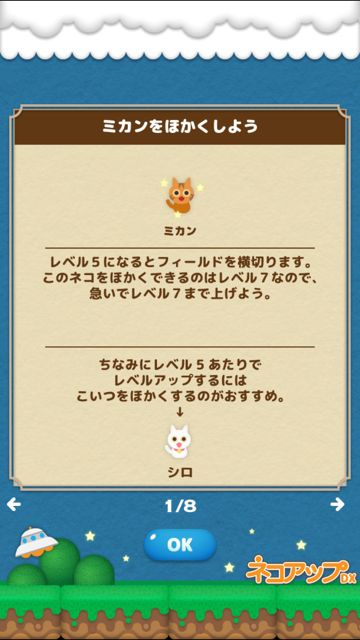 20141112-neko - 17