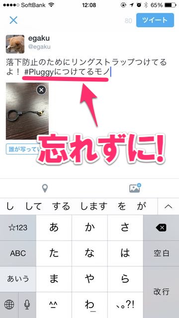 PluggyLock_4