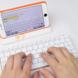 [レビュー] 極薄・超軽量の『rapoo E6300GL iPhone/iPad用 ウルトラスリムキーボード』