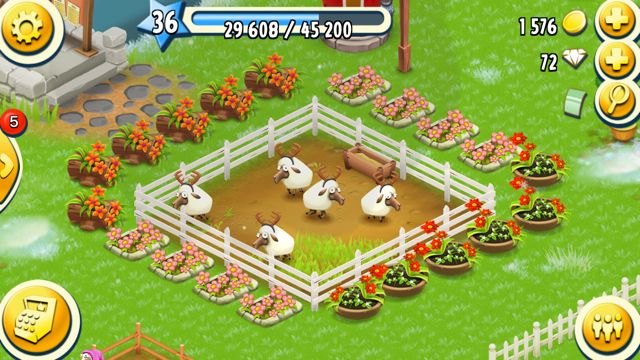 2015-0115-hayday-kakutyou - 005
