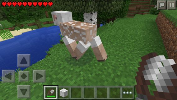 Minecraft