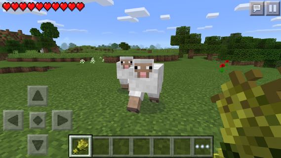 Minecraft