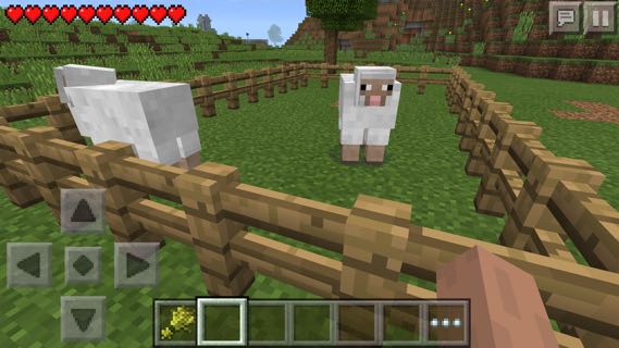 Minecraft