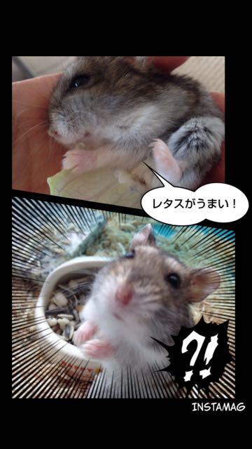 InstaMag - 57