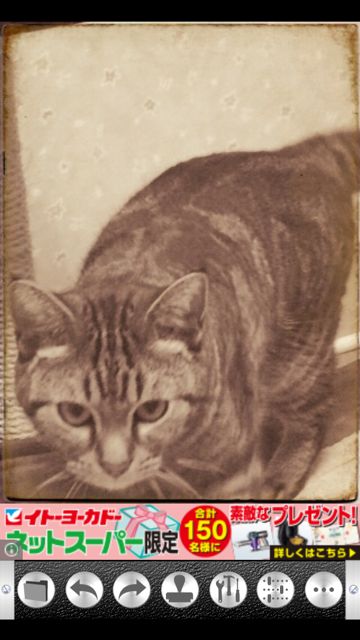 camera0213 - 7