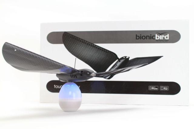 bird - 01