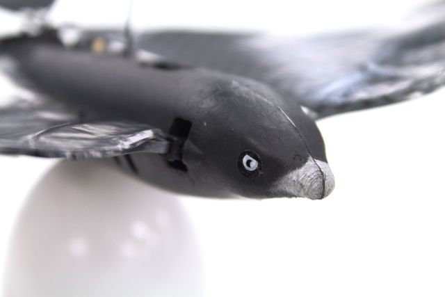 bird - 04