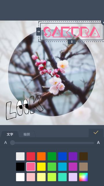 150416_linecamera2 - 17